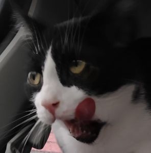 Meet your Posher, Chrissy